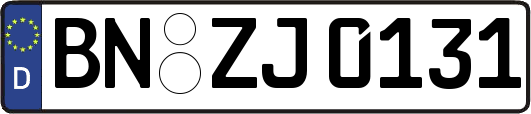BN-ZJ0131