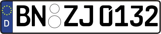 BN-ZJ0132