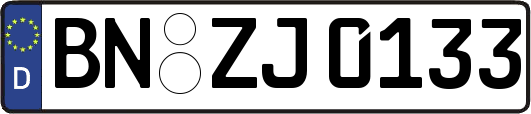 BN-ZJ0133