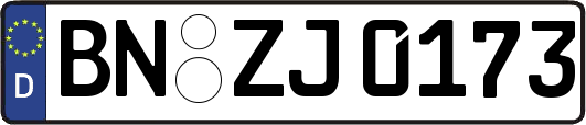 BN-ZJ0173