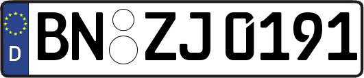 BN-ZJ0191