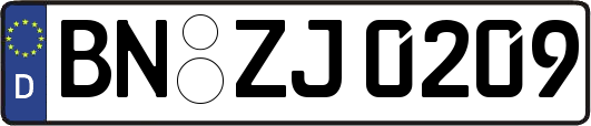 BN-ZJ0209