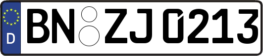 BN-ZJ0213