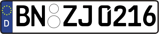 BN-ZJ0216