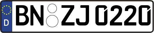BN-ZJ0220