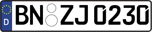 BN-ZJ0230