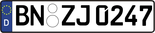 BN-ZJ0247