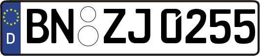 BN-ZJ0255