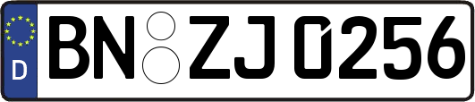 BN-ZJ0256