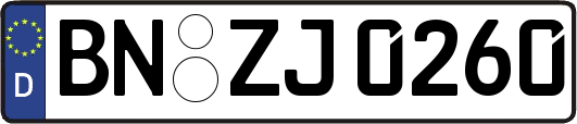 BN-ZJ0260