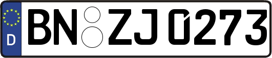 BN-ZJ0273