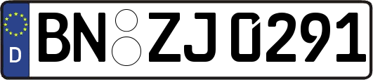 BN-ZJ0291