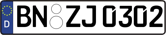 BN-ZJ0302