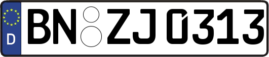 BN-ZJ0313