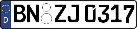 BN-ZJ0317