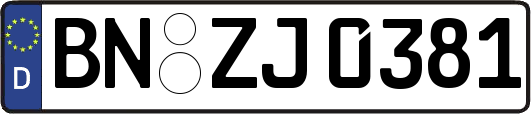 BN-ZJ0381