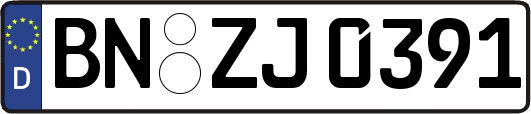 BN-ZJ0391
