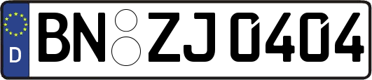 BN-ZJ0404