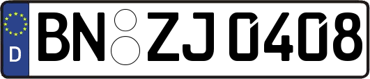 BN-ZJ0408