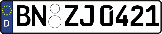 BN-ZJ0421