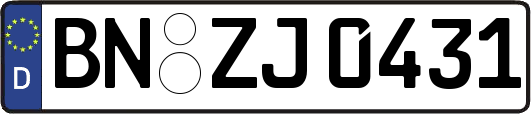 BN-ZJ0431