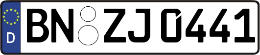 BN-ZJ0441
