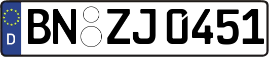 BN-ZJ0451