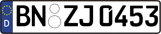 BN-ZJ0453