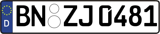 BN-ZJ0481