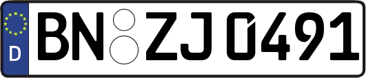 BN-ZJ0491