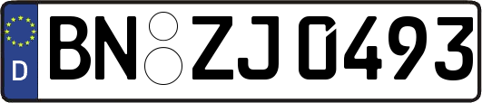 BN-ZJ0493