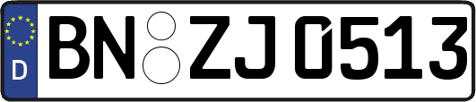 BN-ZJ0513
