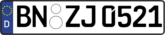 BN-ZJ0521