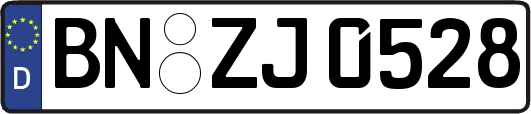 BN-ZJ0528