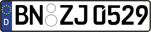 BN-ZJ0529
