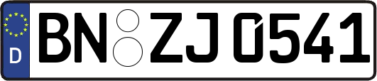 BN-ZJ0541