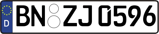 BN-ZJ0596