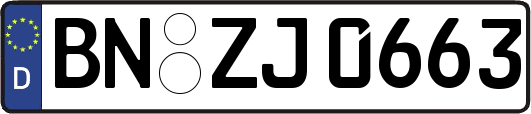 BN-ZJ0663