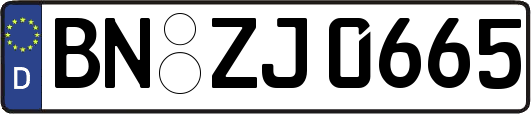 BN-ZJ0665