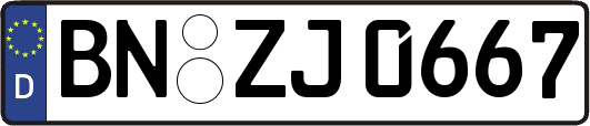 BN-ZJ0667