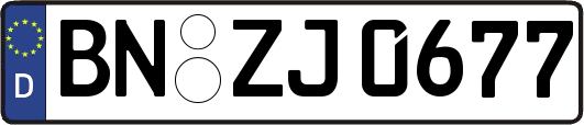 BN-ZJ0677