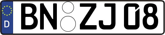 BN-ZJ08
