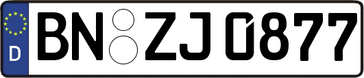 BN-ZJ0877