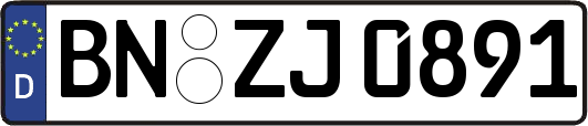 BN-ZJ0891