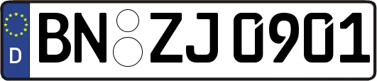 BN-ZJ0901
