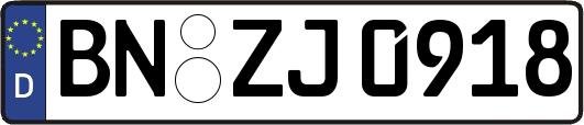 BN-ZJ0918