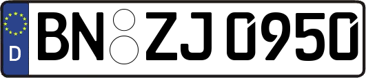 BN-ZJ0950
