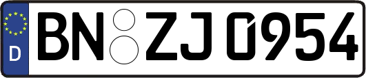 BN-ZJ0954