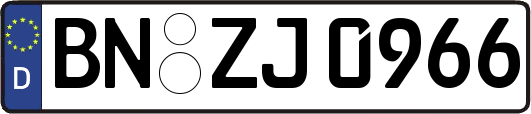 BN-ZJ0966
