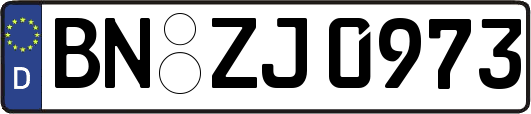BN-ZJ0973